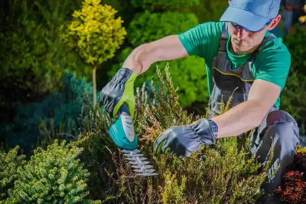 landscaping services Tipp City